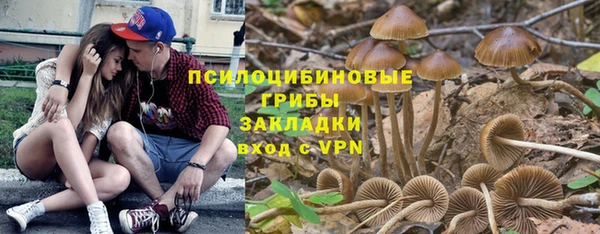 apvp Горно-Алтайск
