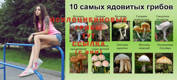 соль курить ск Горнозаводск