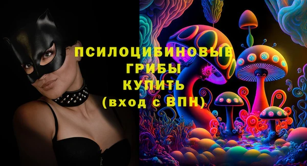 бутират Вяземский