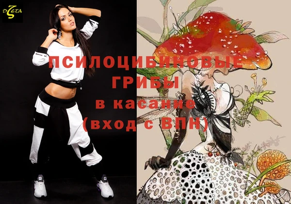 apvp Горно-Алтайск