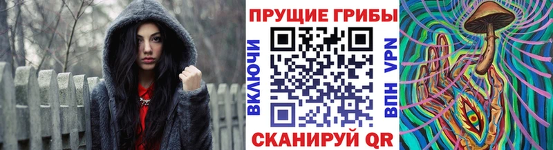 Галлюциногенные грибы прущие грибы  Заинск 